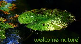 01-welcome nature - schmal.jpg